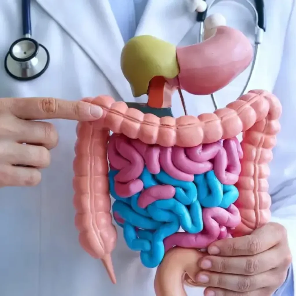 EVANI-HOSPITAL-Gastroenterology-Care